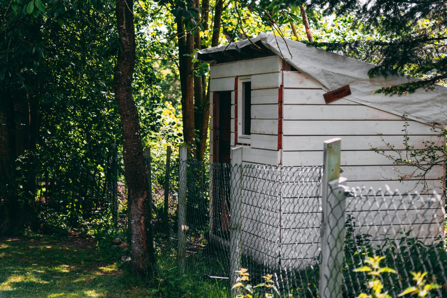 Shed Demolition
